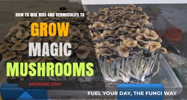 Mixing Rice and Vermiculite: A Guide to Growing Magic Mushrooms