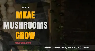 Mastering Mushroom Cultivation: Simple Steps for Abundant Home-Grown Harvests