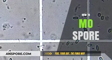 Mastering Mo Spore Techniques: A Comprehensive Guide for Beginners