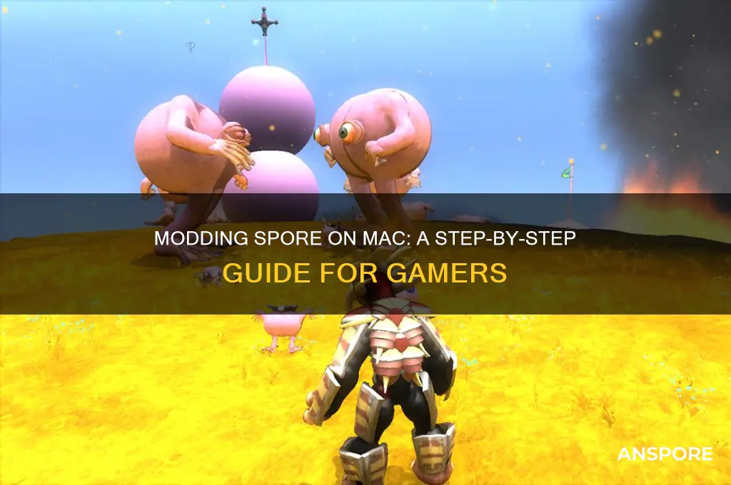how to mod spore for mac