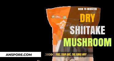 Revive Your Dry Shiitake Mushrooms: Simple Moistening Techniques for Perfect Texture
