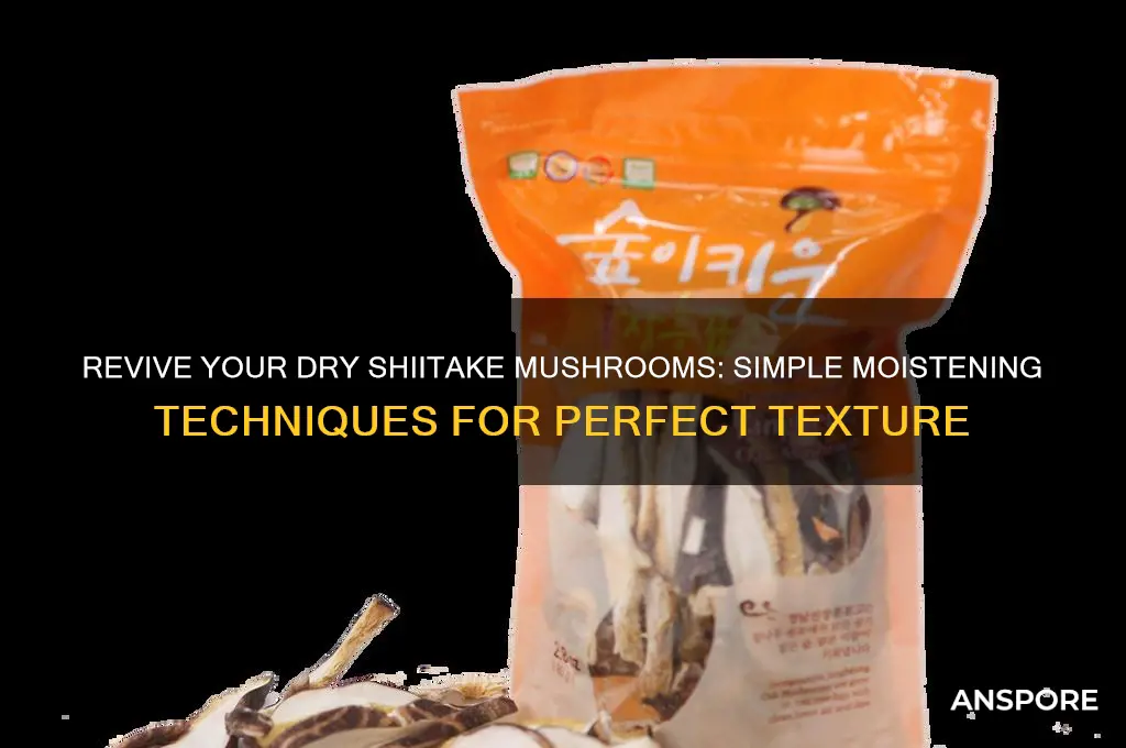 how to moisten dry shiitake mushrooms