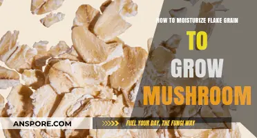 Mastering Mushroom Cultivation: Moisturizing Flake Grain for Optimal Growth