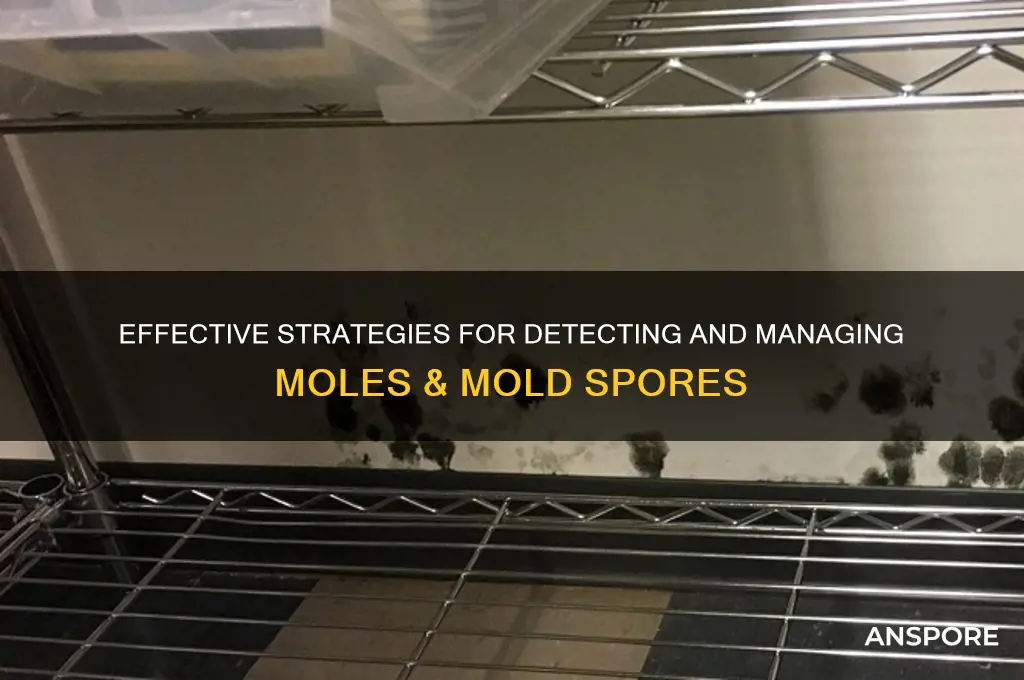 how to mole & mold spores