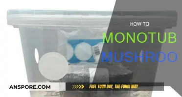 Monotubing Mushrooms: A Step-by-Step Guide to Success