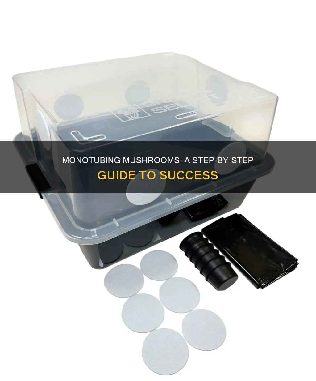 how to monotube mushrooms