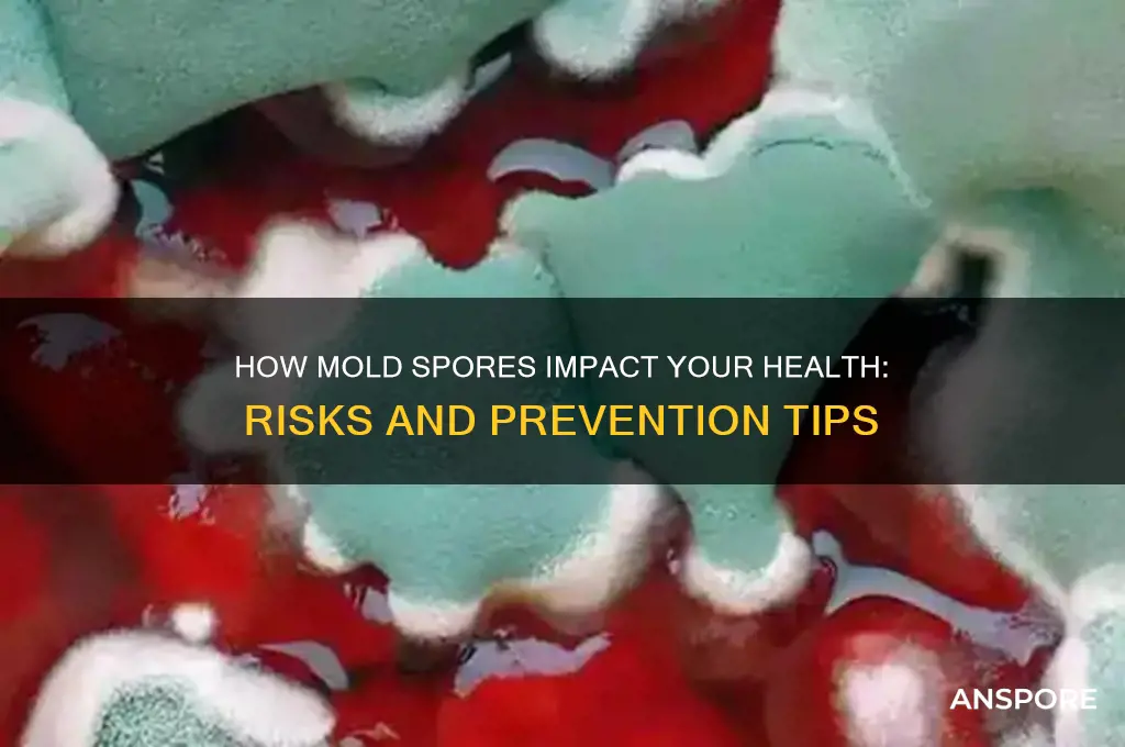 how to mould spores affect your health