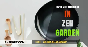 Moving Mushrooms in Your Zen Garden: A Step-by-Step Guide