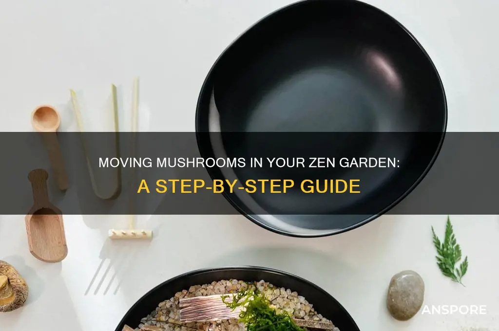 how to move mushrooms in zen garden