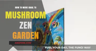 Moving Snails to Mushroom Zen Gardens: A Gentle Step-by-Step Guide