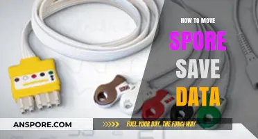 Transferring Spore Save Data: A Step-by-Step Guide for Gamers