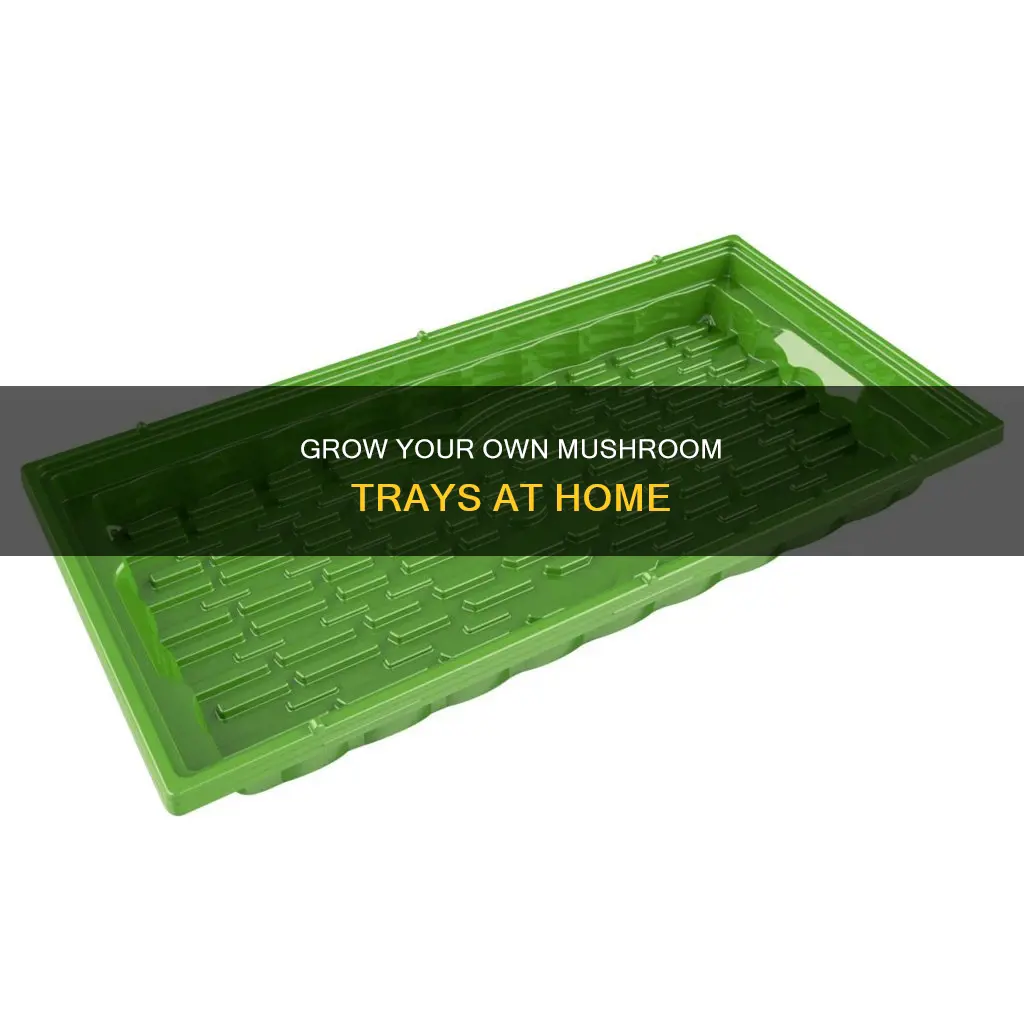 how to mske trays mushrooms