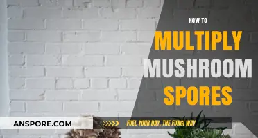 The Magic of Mushroom Spores: Multiply and Grow