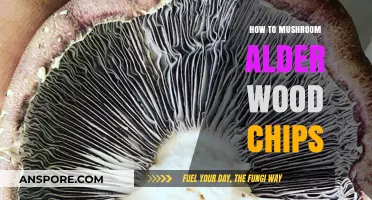Mastering Mushroom Cultivation on Alder Wood Chips: A Step-by-Step Guide