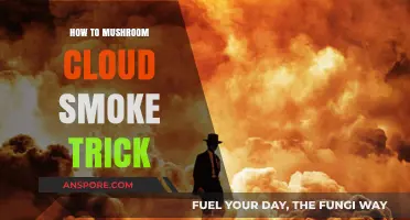 Master the Mushroom Cloud Smoke Trick: Step-by-Step Guide