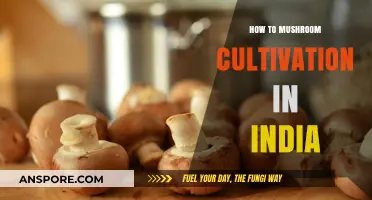 Mastering Mushroom Cultivation: A Comprehensive Guide for Indian Farmers