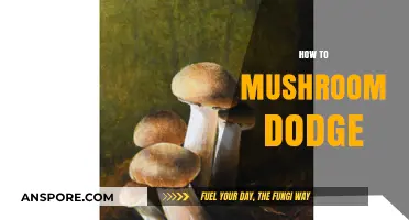 Mushroom Dodging: A Guide to Avoiding the Fungi