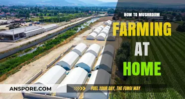 Grow Your Own Mushrooms: A Beginner's Guide to Home Farming