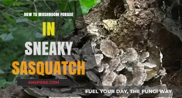 Master Mushroom Foraging in Sneaky Sasquatch: Tips and Tricks