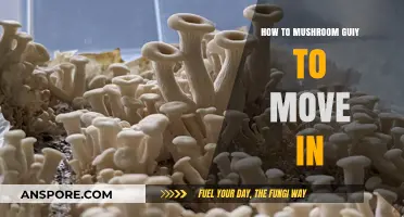 Mastering Mushroom Cultivation: A Guide to Moving Your Mycelium Indoors
