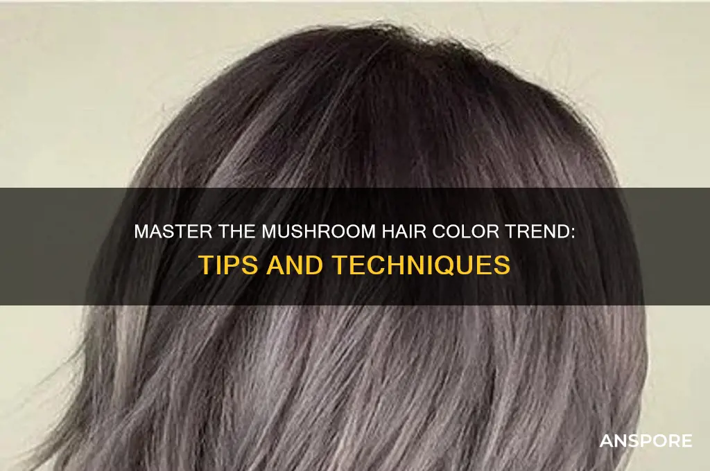 how to mushroom hair color trend