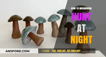 Nighttime Mushroom Hunting: Tips for a Successful Foray in the Dark