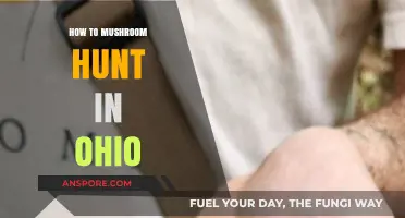 Ohio's Mushroom Hunting Guide: Tips for Safe and Successful Foraging