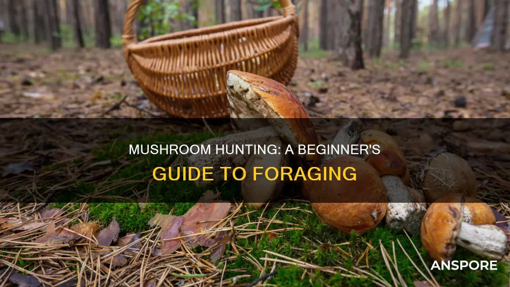 how to mushroom hunt