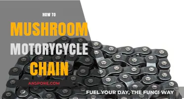 Clean and Lubricate Your Motorcycle Chain with Ease