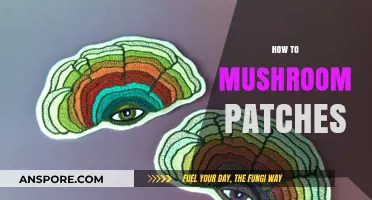 Grow Your Own Mushrooms: Patch Guide