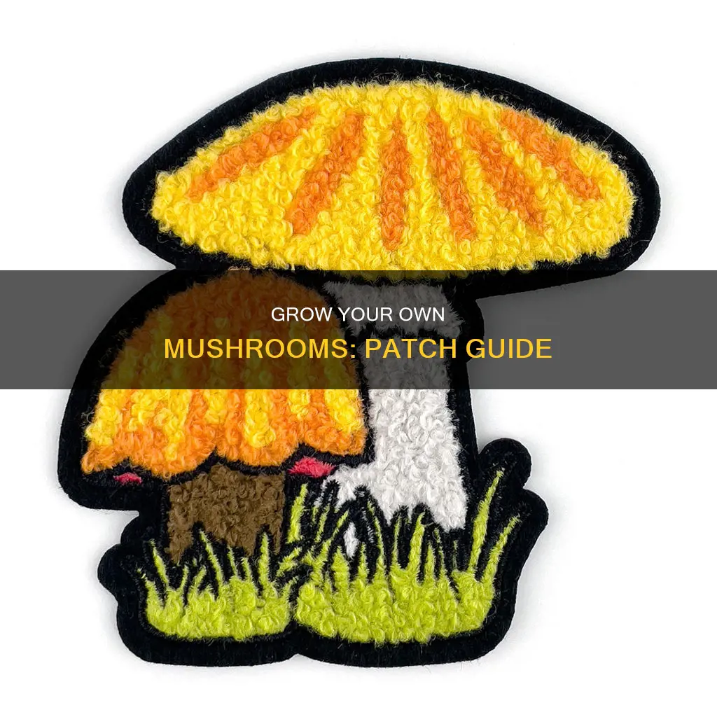how to mushroom patches