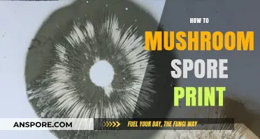 Creating Mushroom Spore Prints: A Beginner's Guide