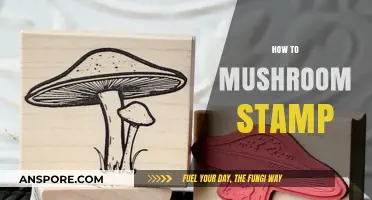 Mushroom Stamping: A Beginner's Guide to Getting Started