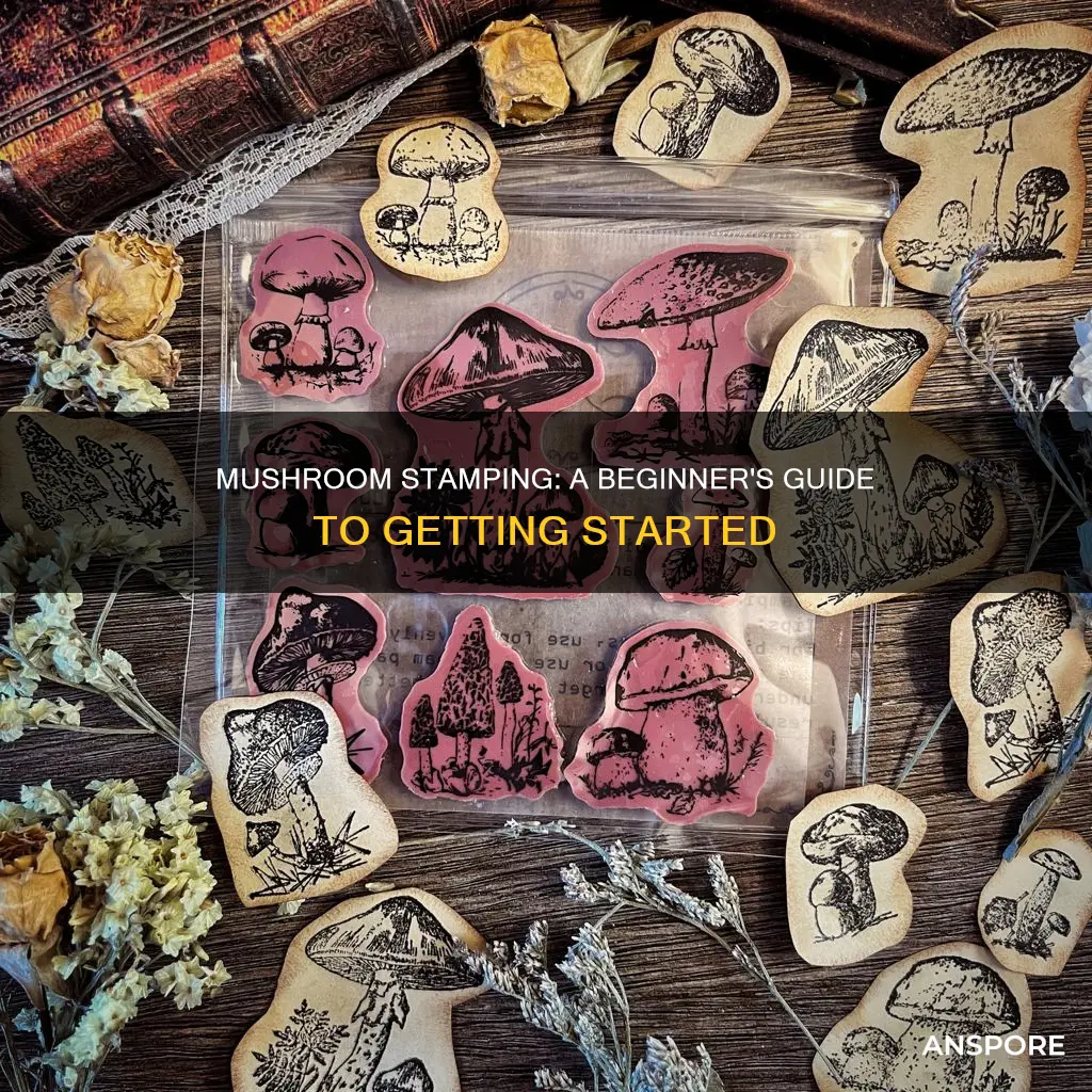 how to mushroom stamp