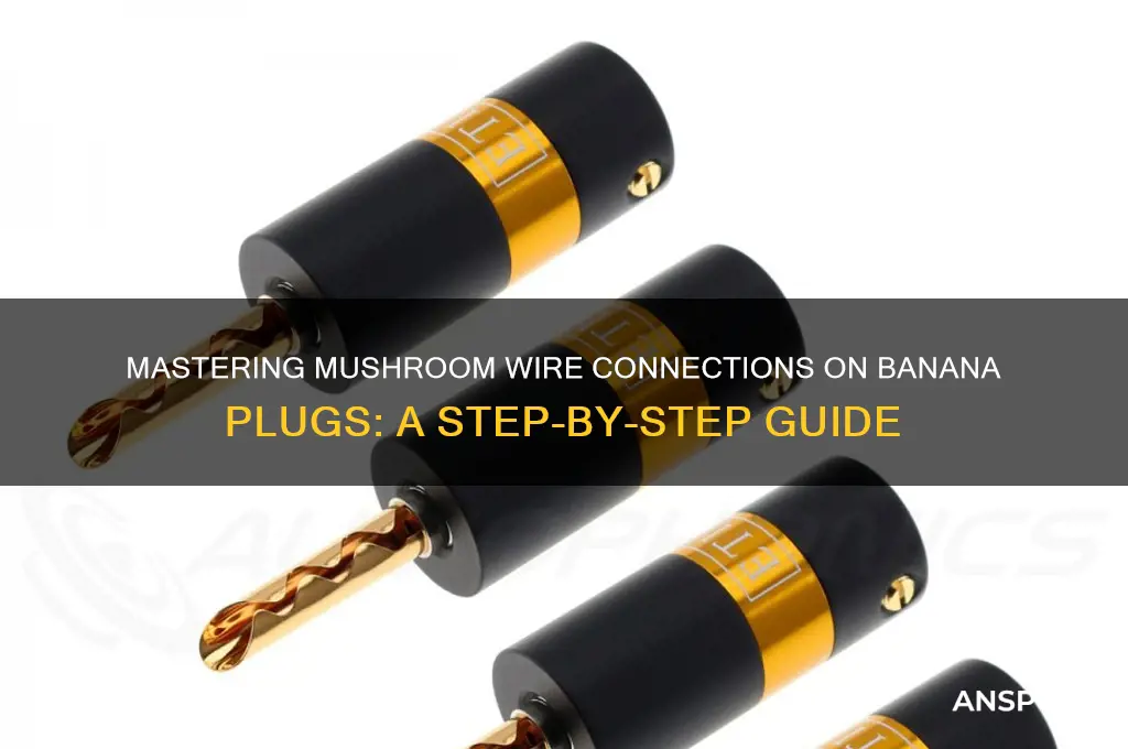 how to mushroom wire on banana plugs