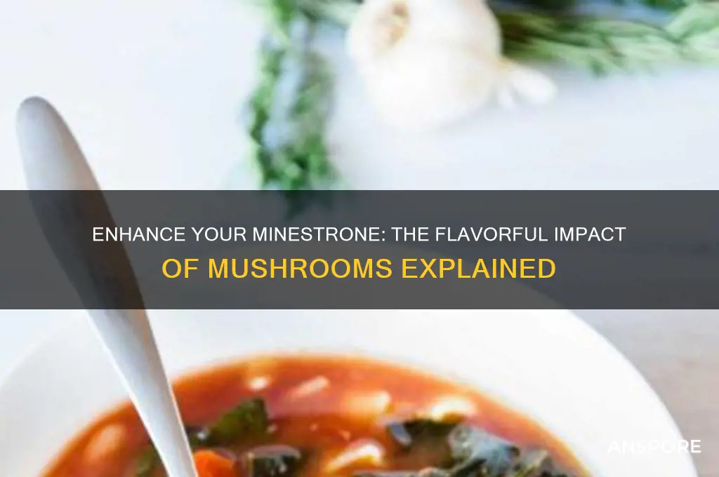 how to mushrooms change taste of minestrone