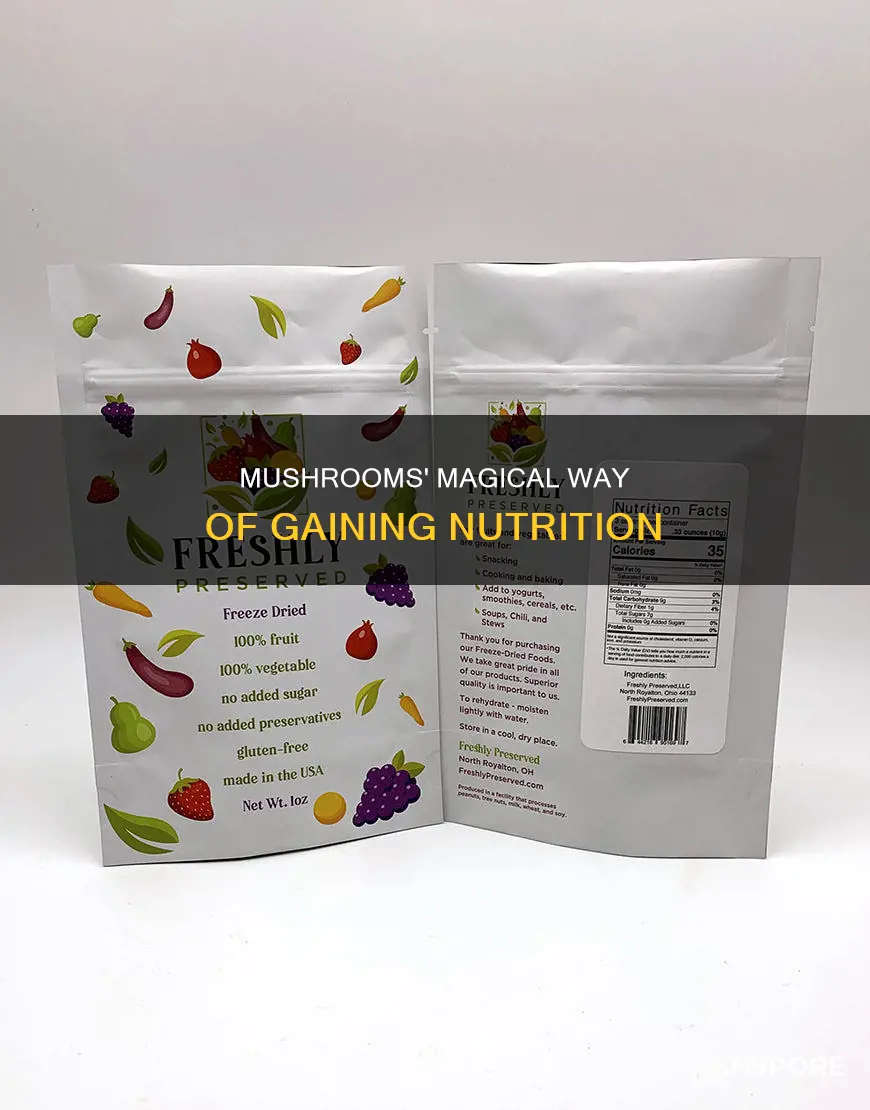 how to mushrooms gain nourishment