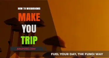 Unveiling the Psychedelic Journey: How Mushrooms Induce Mind-Altering Trips