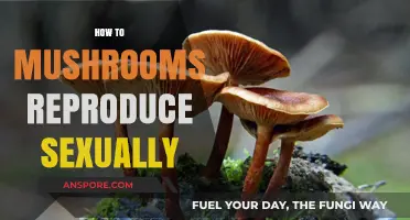 Mushrooms' Intricate Sexual Reproduction