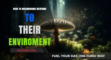 Exploring Mushroom Sensitivity: How Fungi Adapt to Environmental Changes