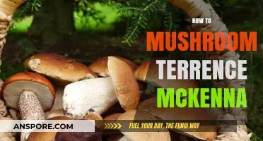 Exploring the Mind: Terence McKenna's Mushroom Method