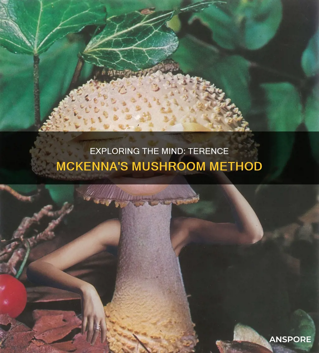 how to mushrooms terrence mckenna