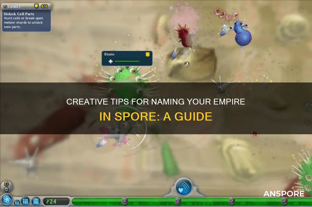 how to name emipre in spore