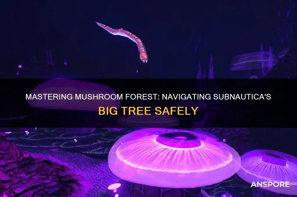 how to navigate the big tree in mushroom forest subnautica