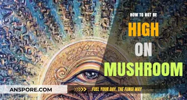 Navigating a Mushroom Trip: Strategies to Stay Grounded and Calm