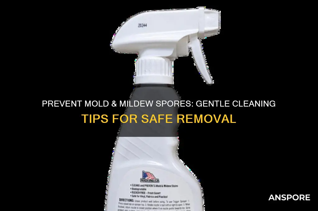 how to not disturb mold mildew spored