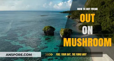 Stay Calm and Trip On: A Guide to Managing Mushroom Anxiety