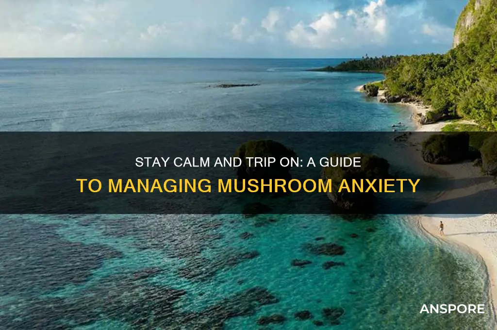 how to not freak out on mushrooms