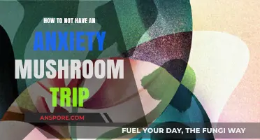 Preventing Anxiety During a Mushroom Trip: A Practical Guide