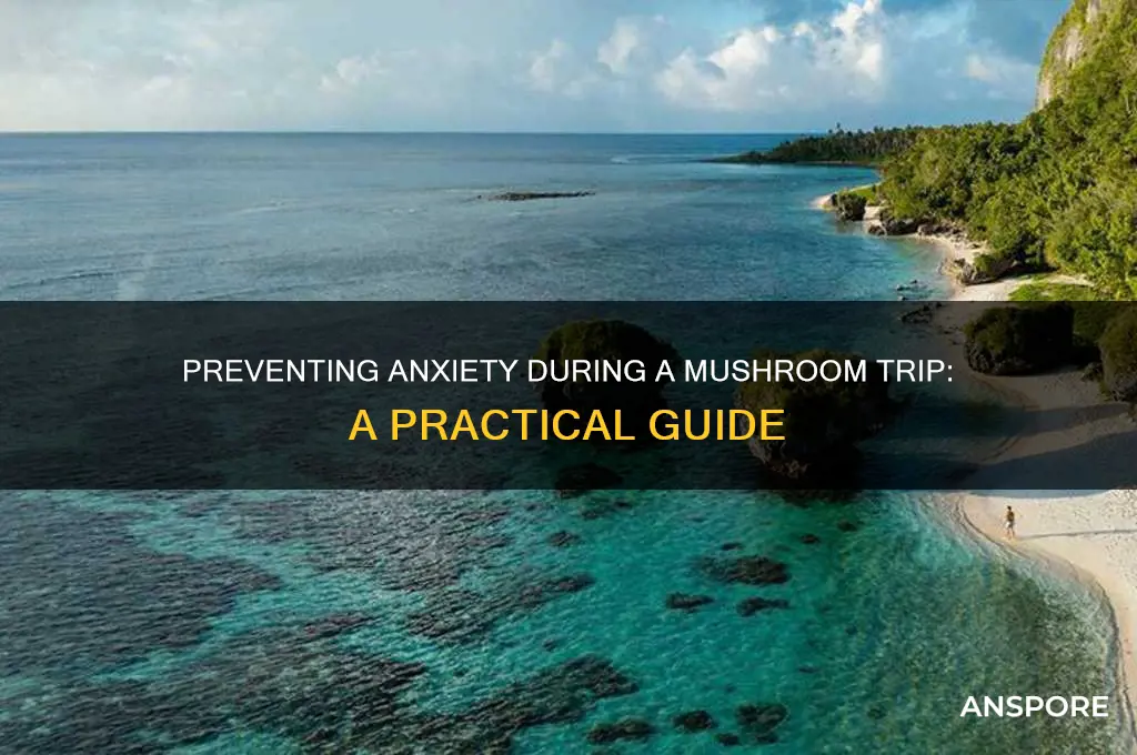 how to not have an anxiety mushroom trip